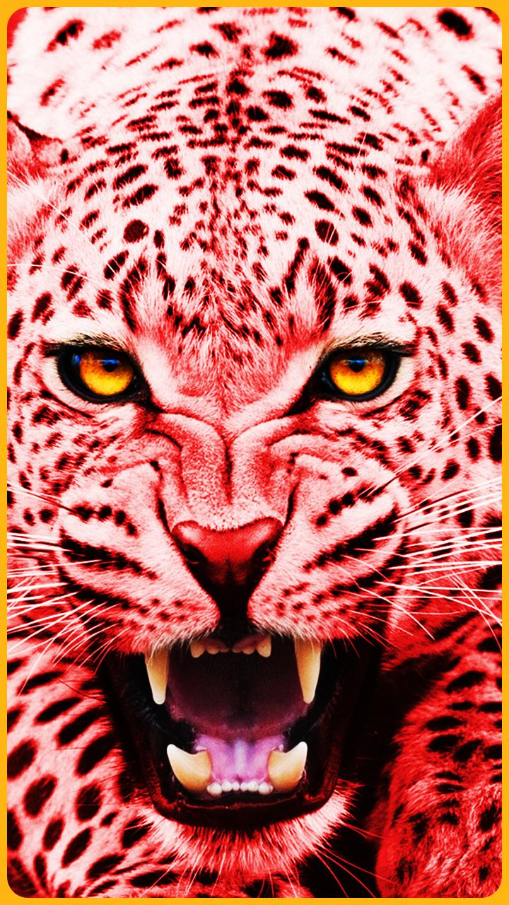 HD Colorful Tiger Wallpaper for Android