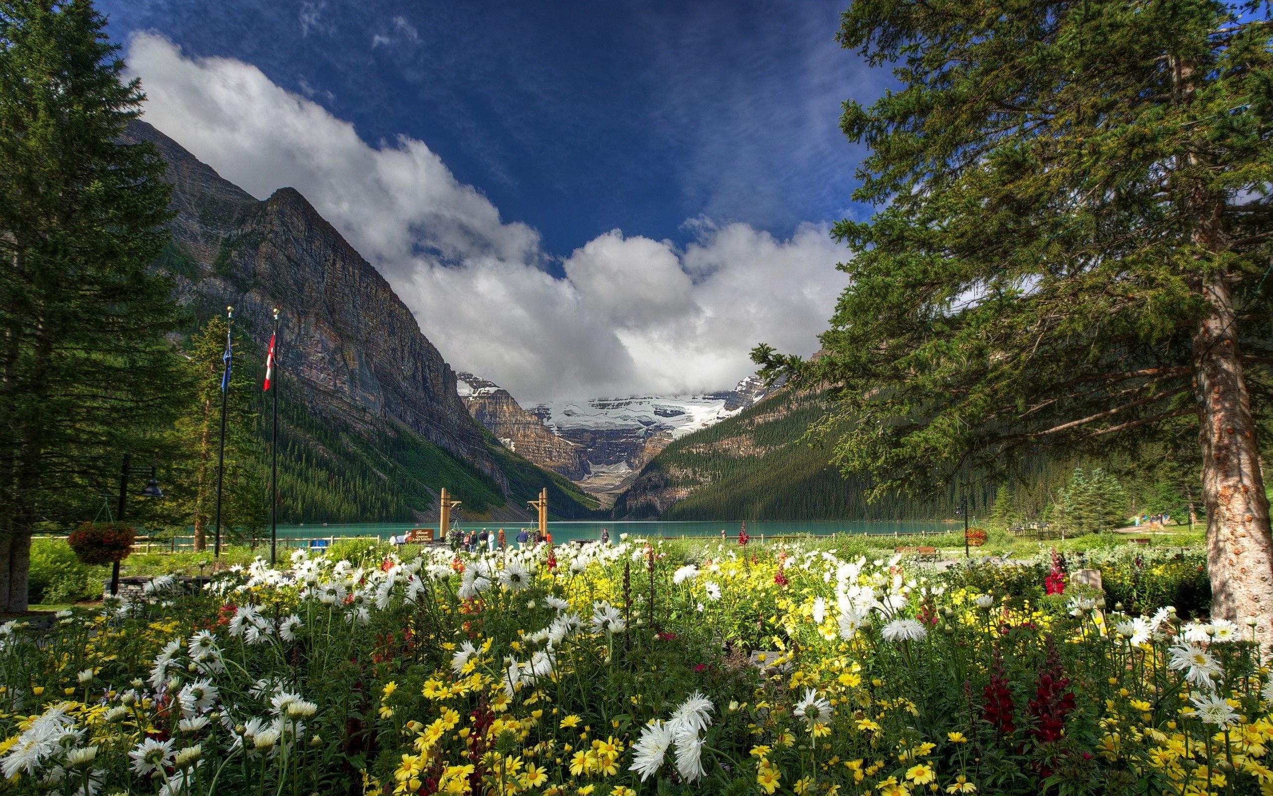 Lake Louise Banff National Park Wallpaper Louise Wallpaper & Background Download