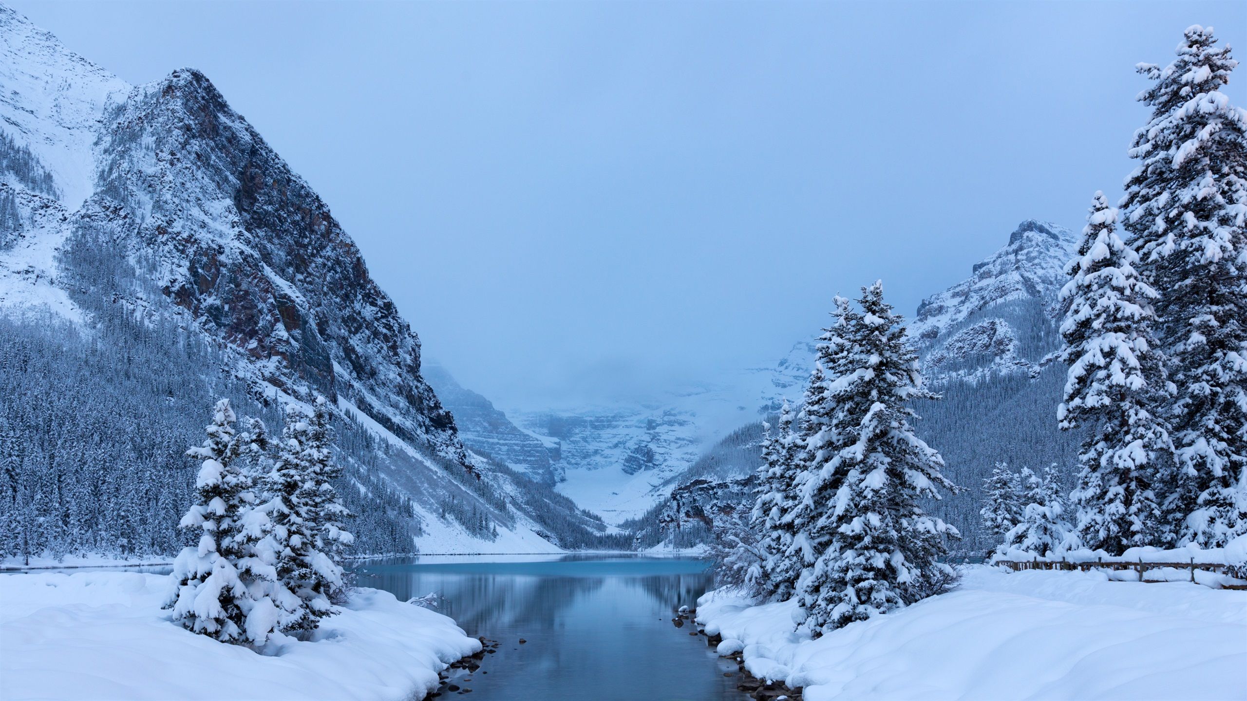 Wallpaper Winter, snow, trees, Lake Louise, Banff National Park, Canada nature landscape 2560x1440 QHD Picture, Image