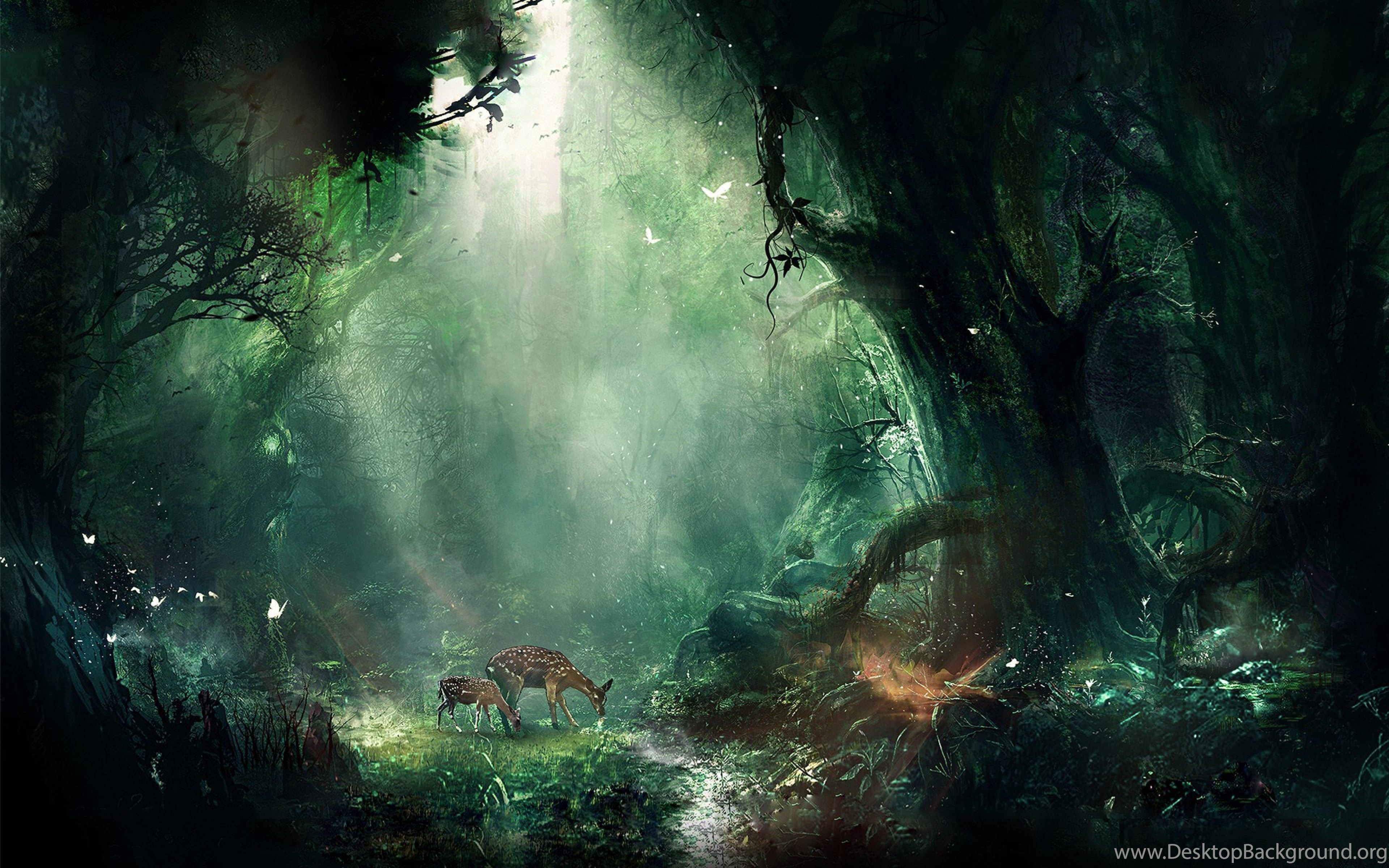 Fantasy Forest Ultra HD 4K Wallpaper Download High Quality Desktop Background