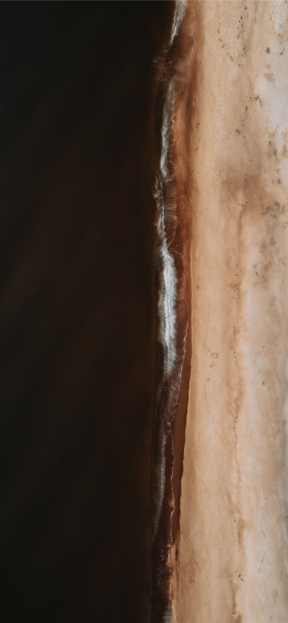 brown and white abstract painting iPhone 11 Wallpaper Free Download