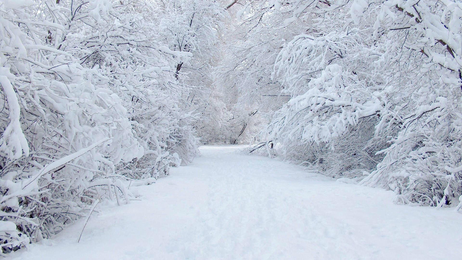 Latest Winter Wonderland Background Picture FULL HD 1080p For PC Background. Winter wonderland background, Snow picture, Background picture