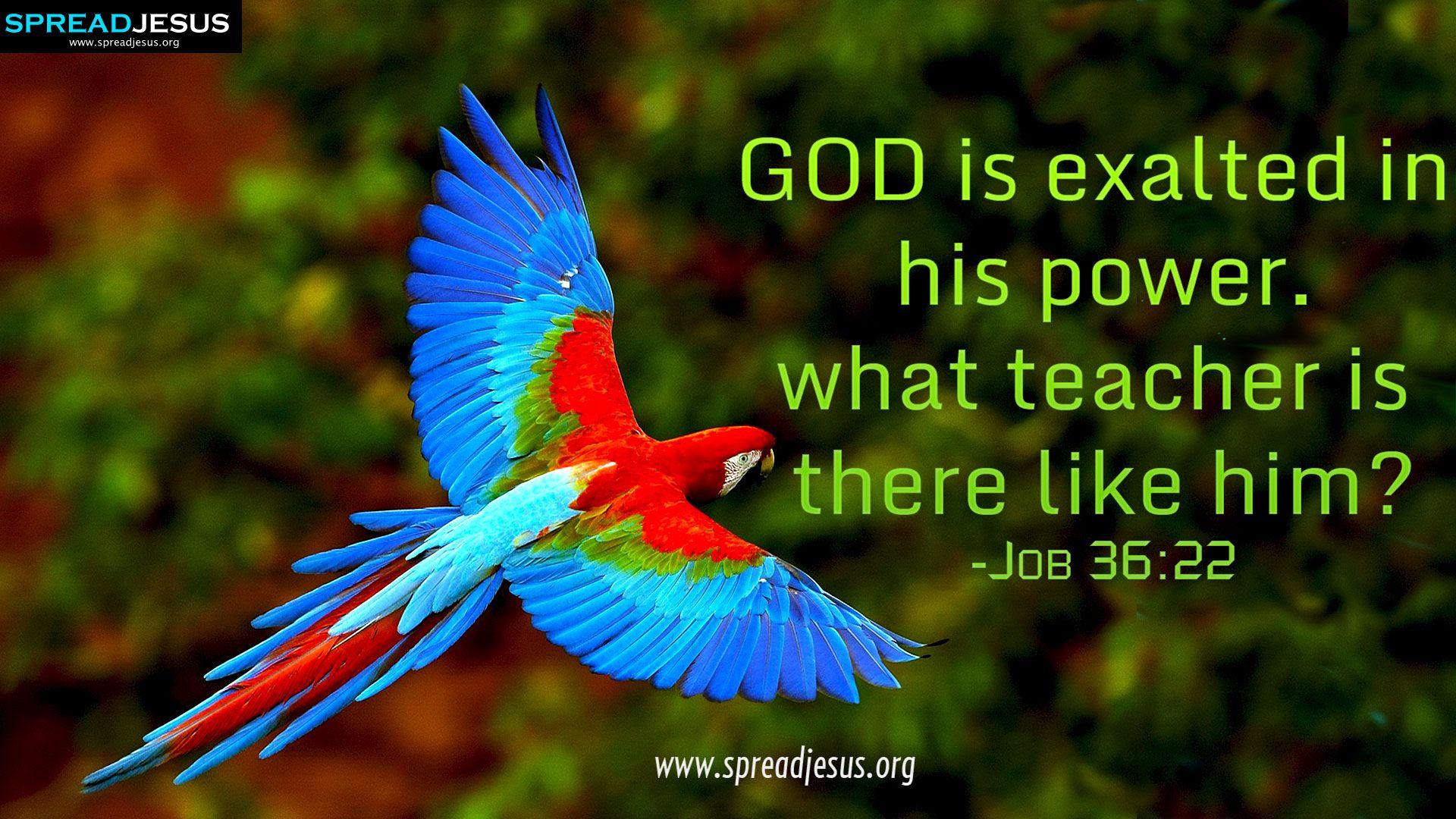 CHRISTIAN HD WALLPAPERS: HOLY BIBLE QUOTES Job 36:22