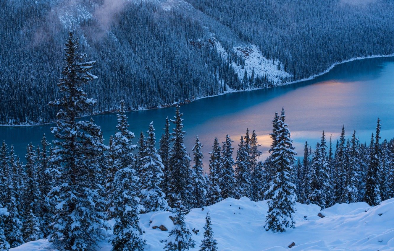 Wallpaper Nature, Winter, Trees, Snow, Banff National Park, Canada, Peyto Lake image for desktop, section пейзажи