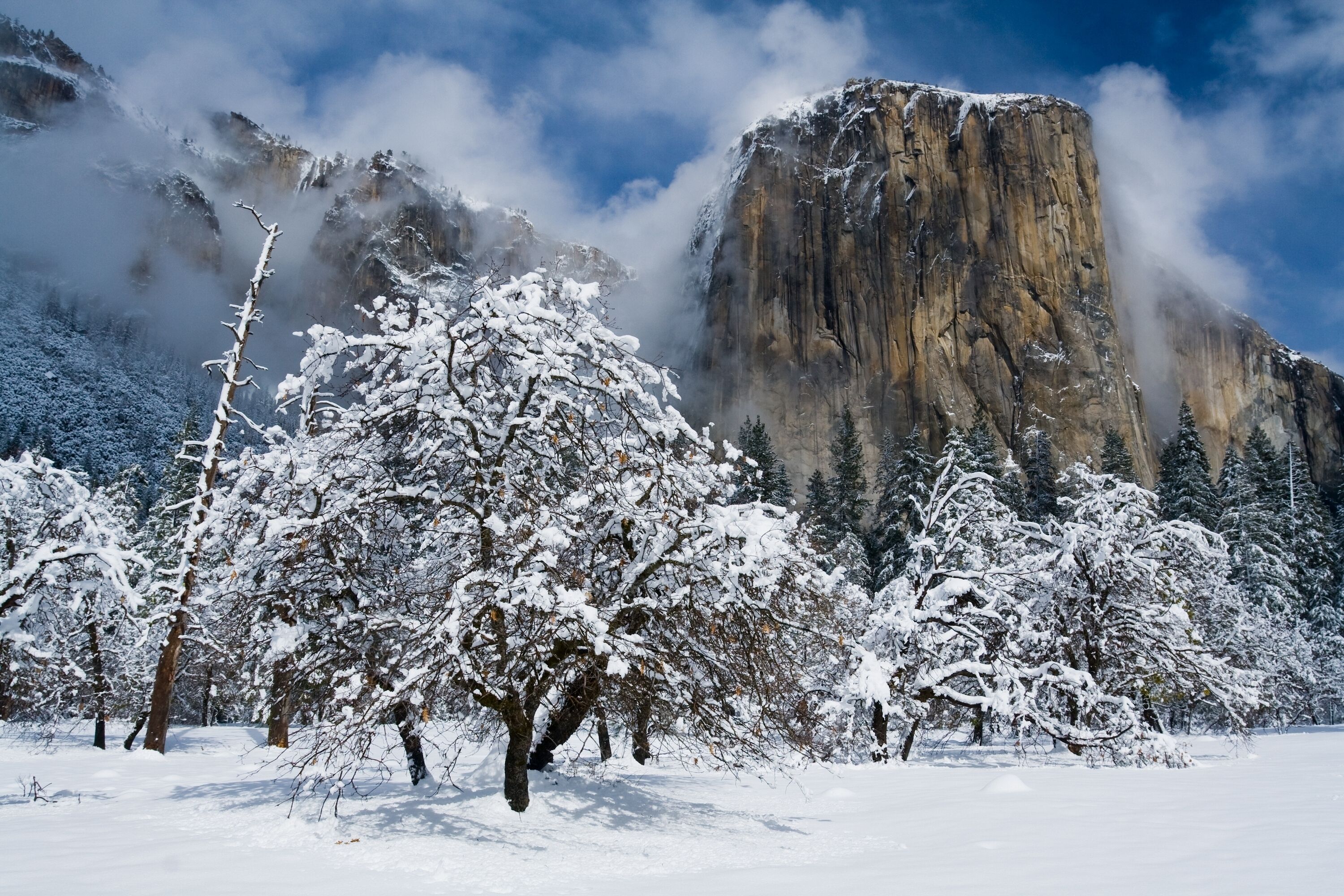 Yosemite Valley Lodge Winter