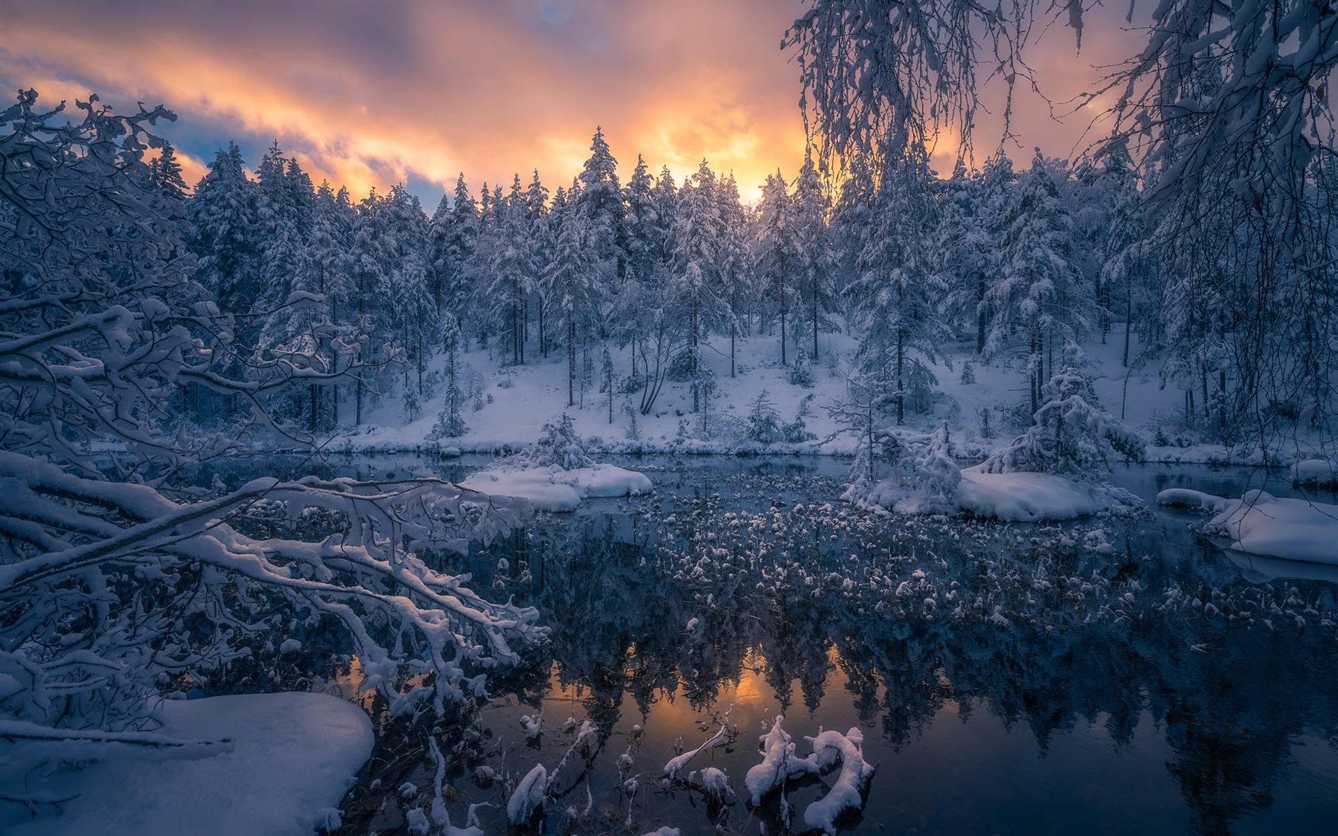 Wallpaper Winter, snow, forest, trees, Ringerike, Norway 1920x1200 HD Picture, Image