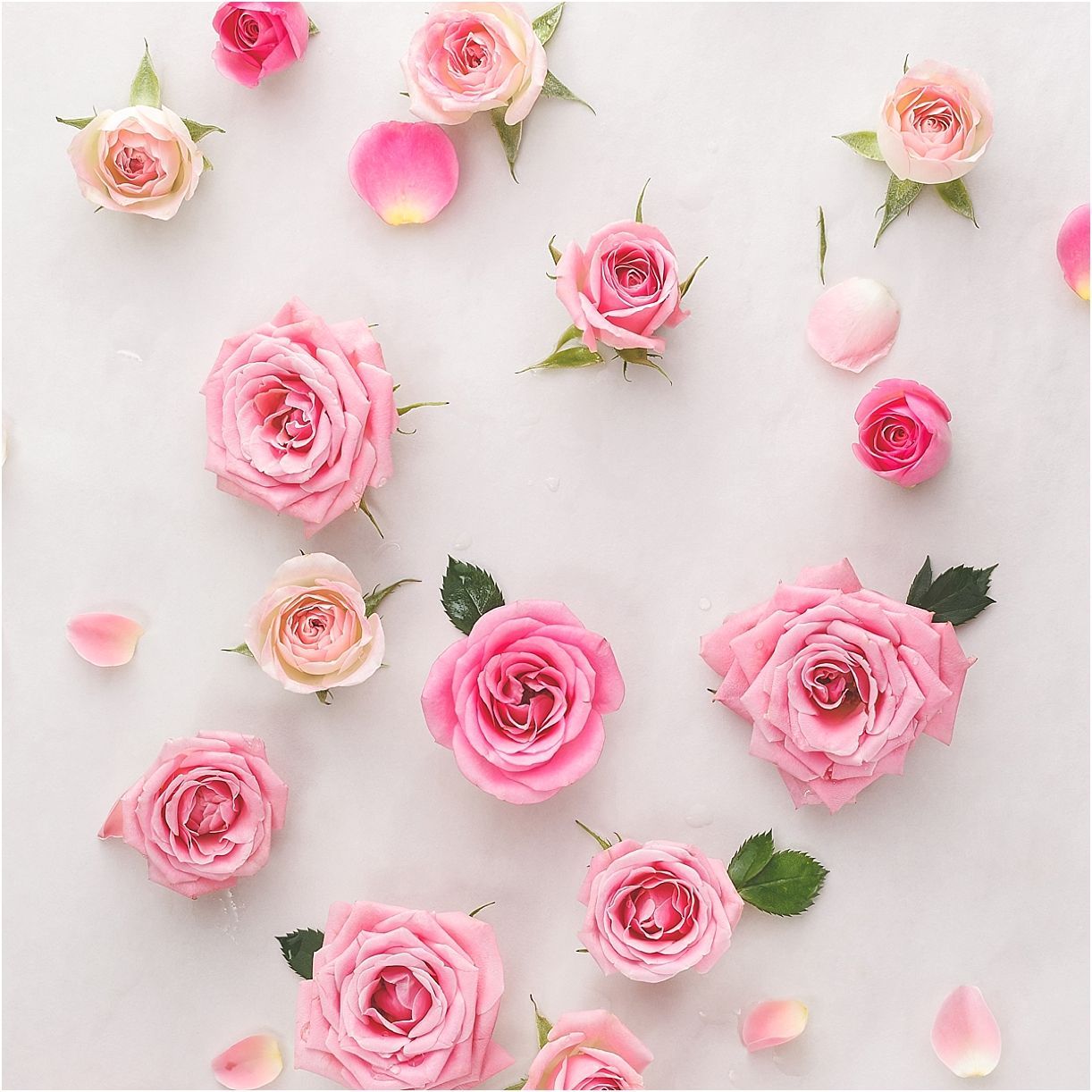 Valentine's Day Gifts for the One You Love. Pink wallpaper iphone, Pink wallpaper, Pink roses
