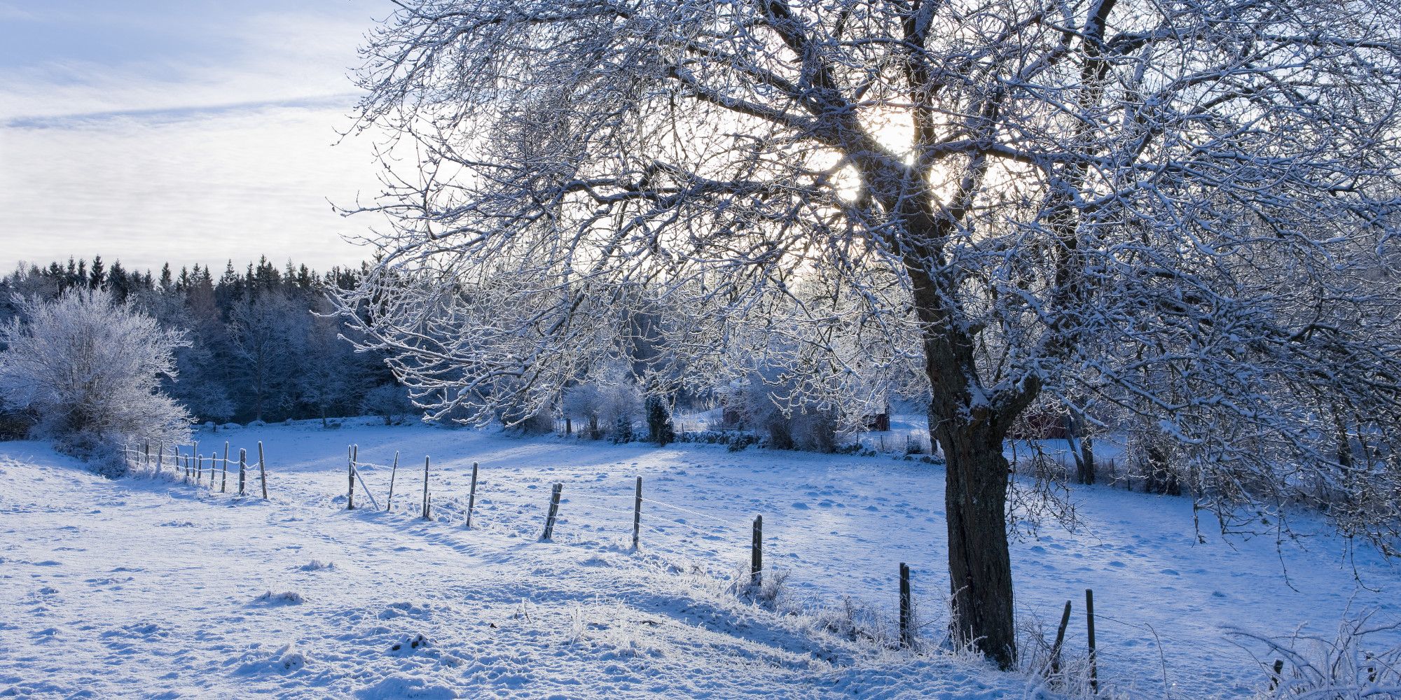 Best Quotes About Winter In Wonderland. QuotesGram