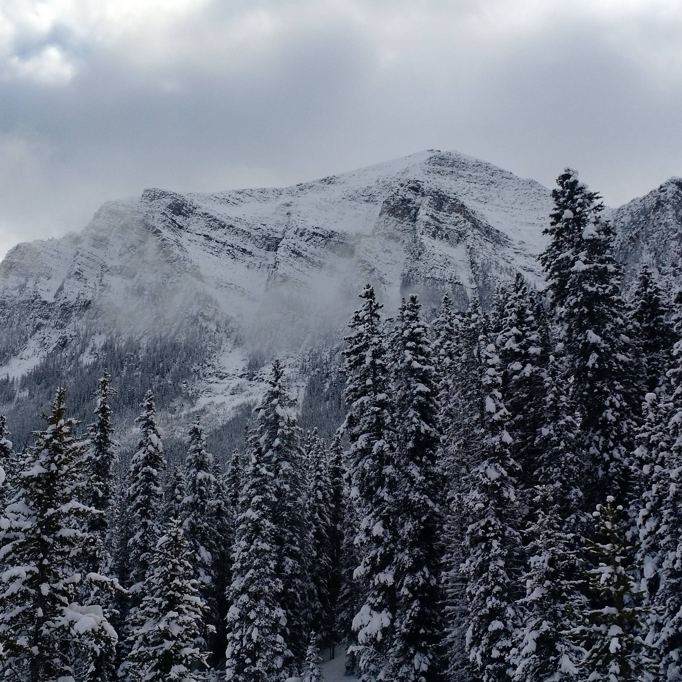 Banff National Park in the Winter HD wallpaper