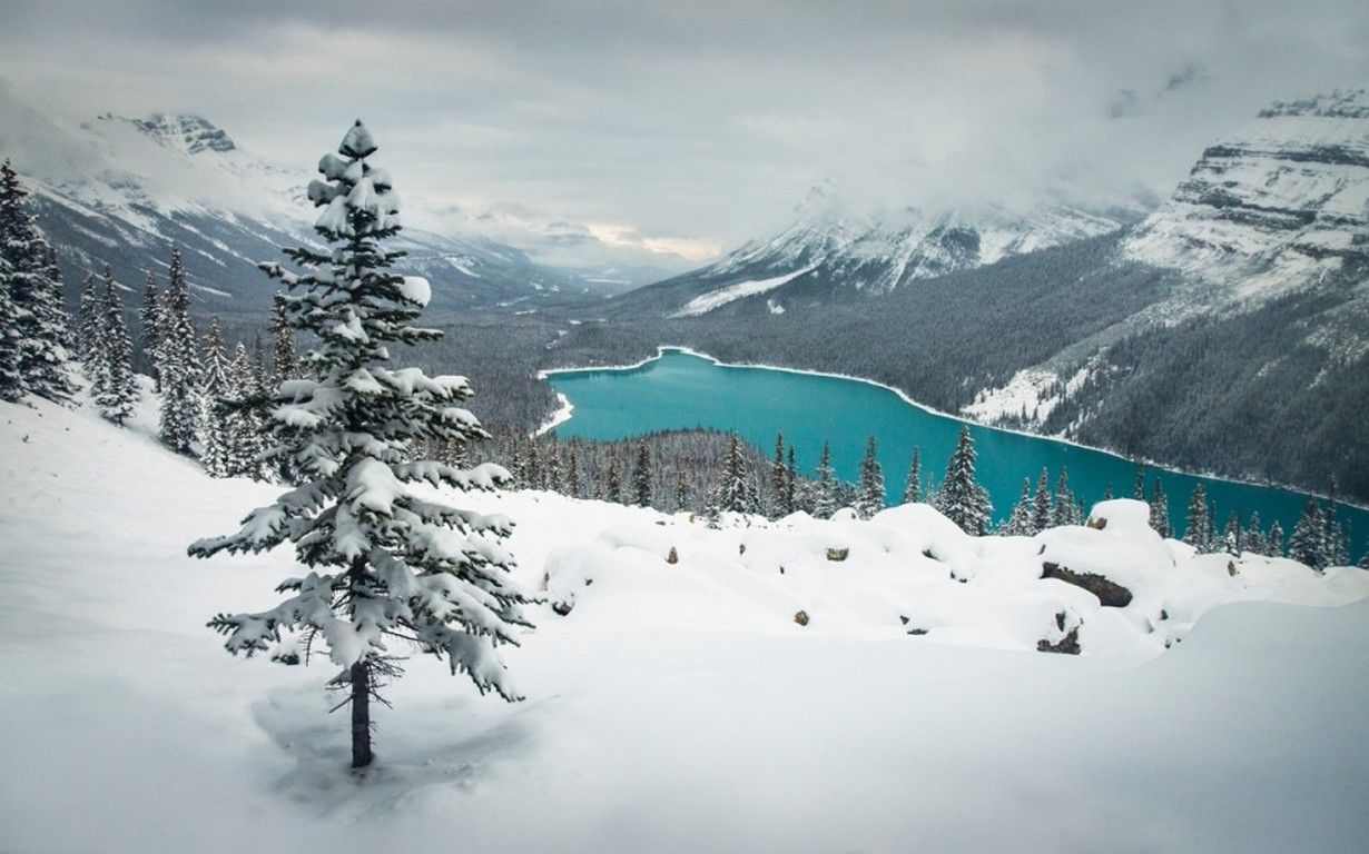 landscape, Nature, Winter, Lake, Snow, Mountain, Forest, Turquoise, Water, Banff National Park, Canada Wallpaper HD / Desktop and Mobile Background