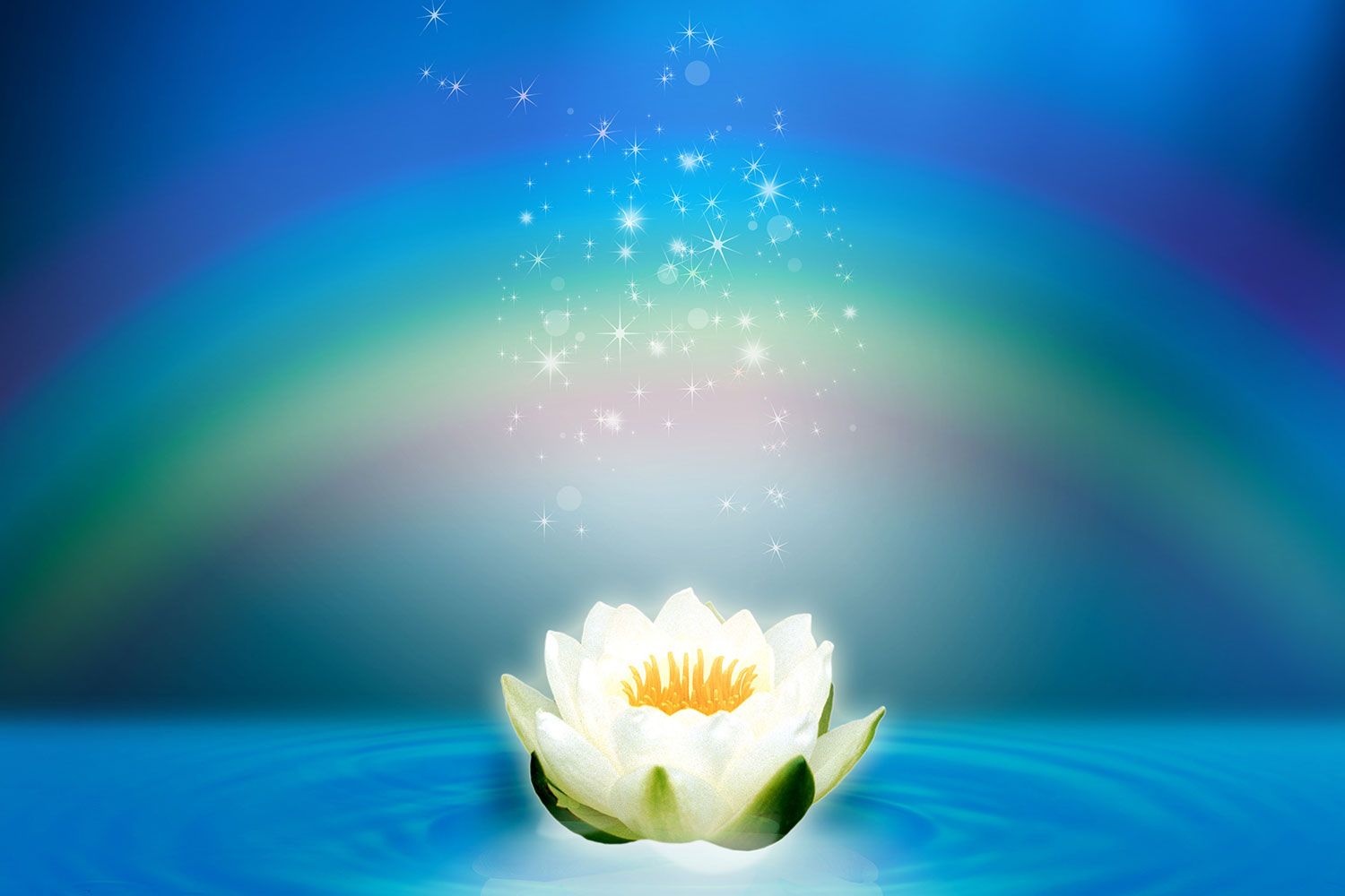 White Lotus. Print A Wallpaper & More