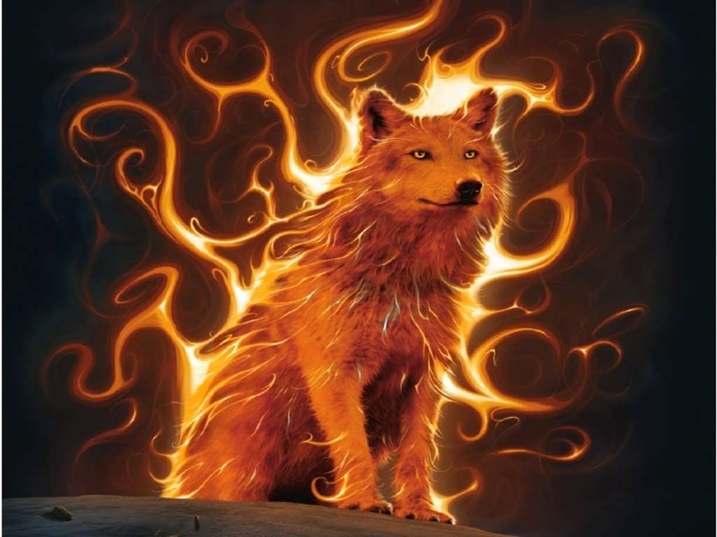 Wolf Wallpaper Fire
