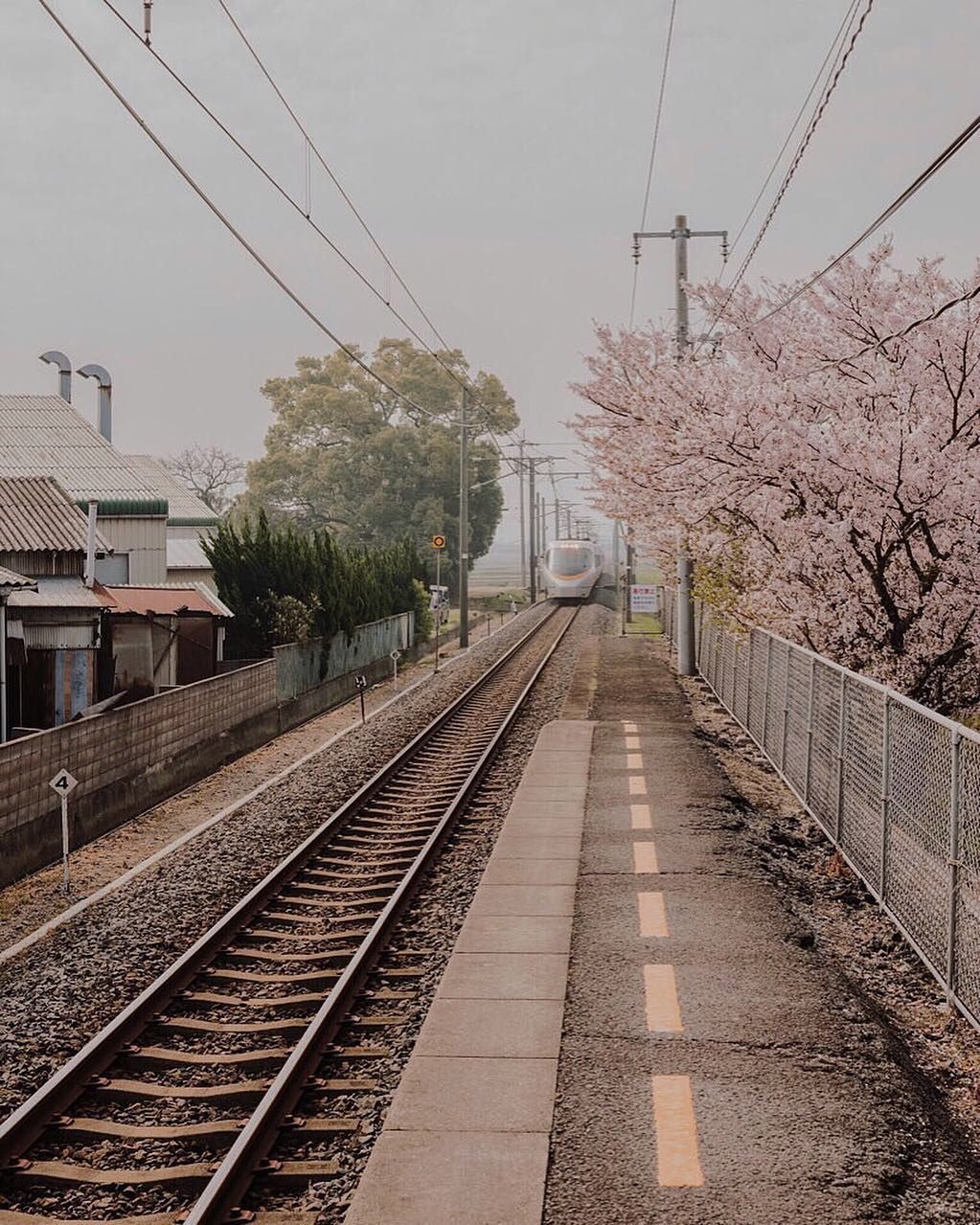 mino #japan #railway #street #travel. Japanese landscape, Aesthetic japan, Japan street