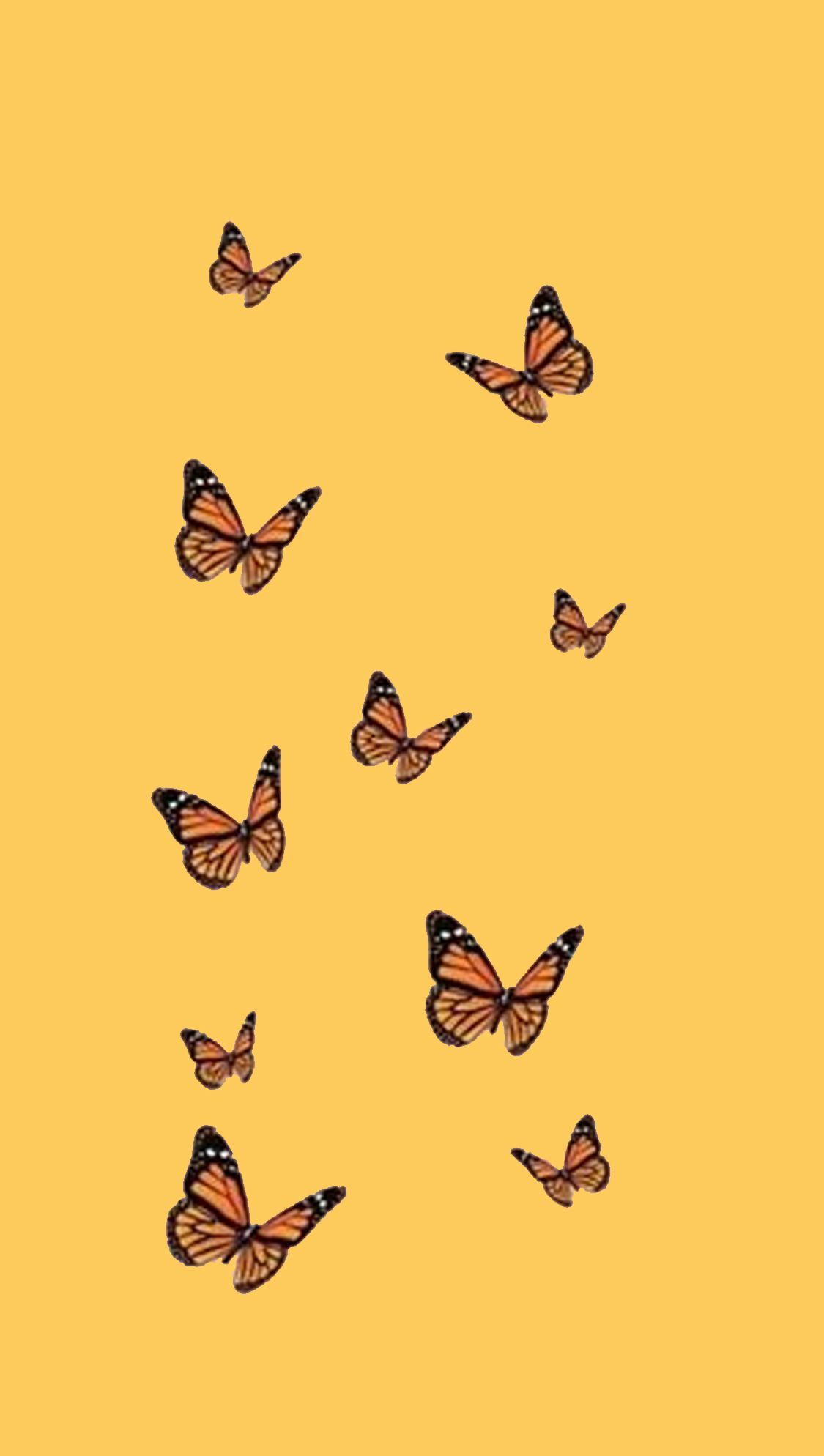 aesthetic wallpaper. iPhone wallpaper yellow, Butterfly wallpaper, Phone wallpaper patterns