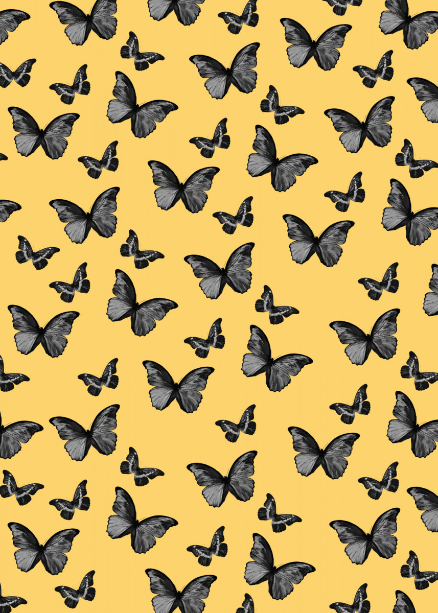 Black Yellow Butterfly 1' Poster Print by Anita's & Bella's Art. Displate. Yellow aesthetic, Yellow aesthetic pastel, Yellow wall art
