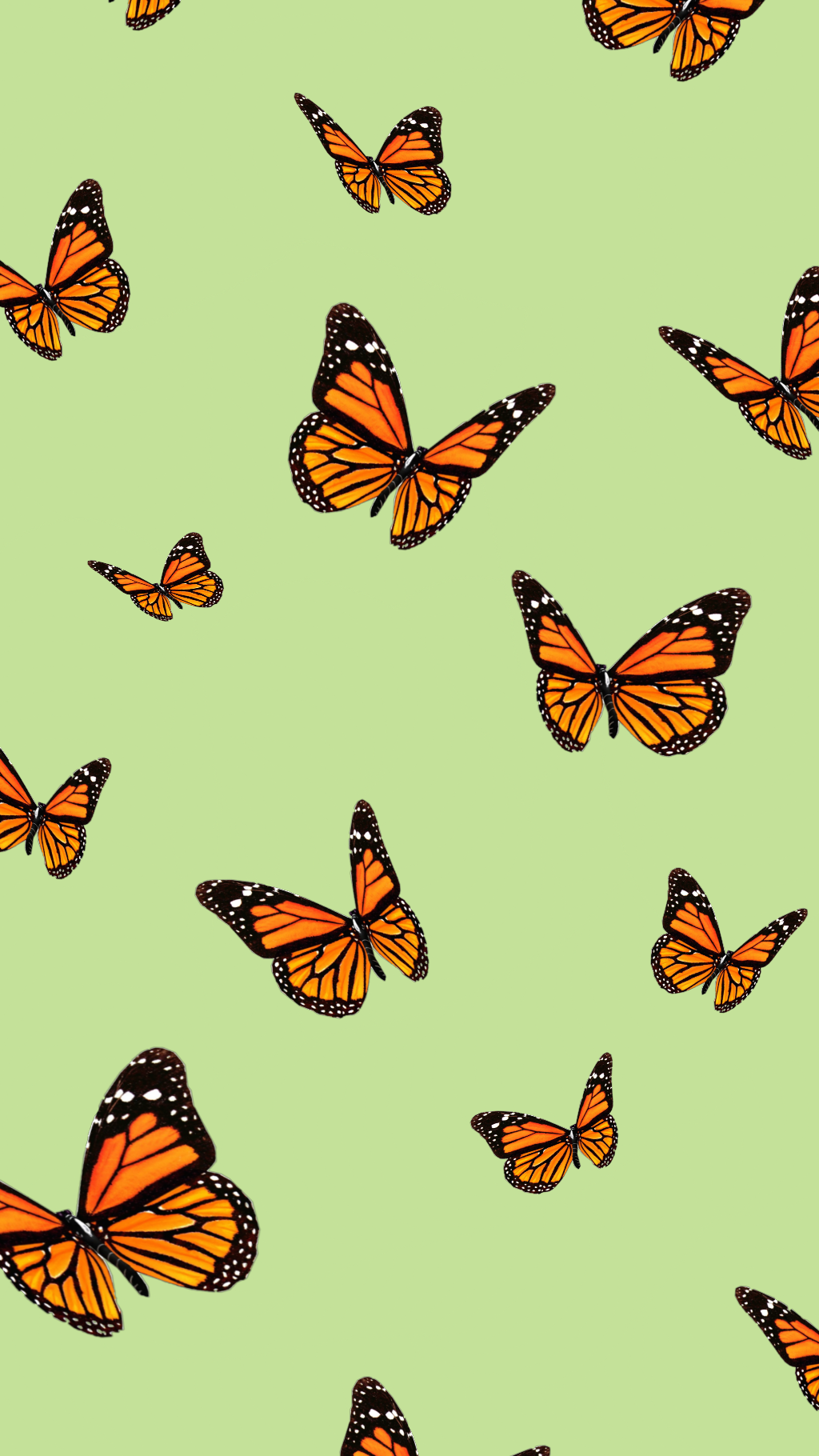 Cute Simple Butterfly Aesthetic