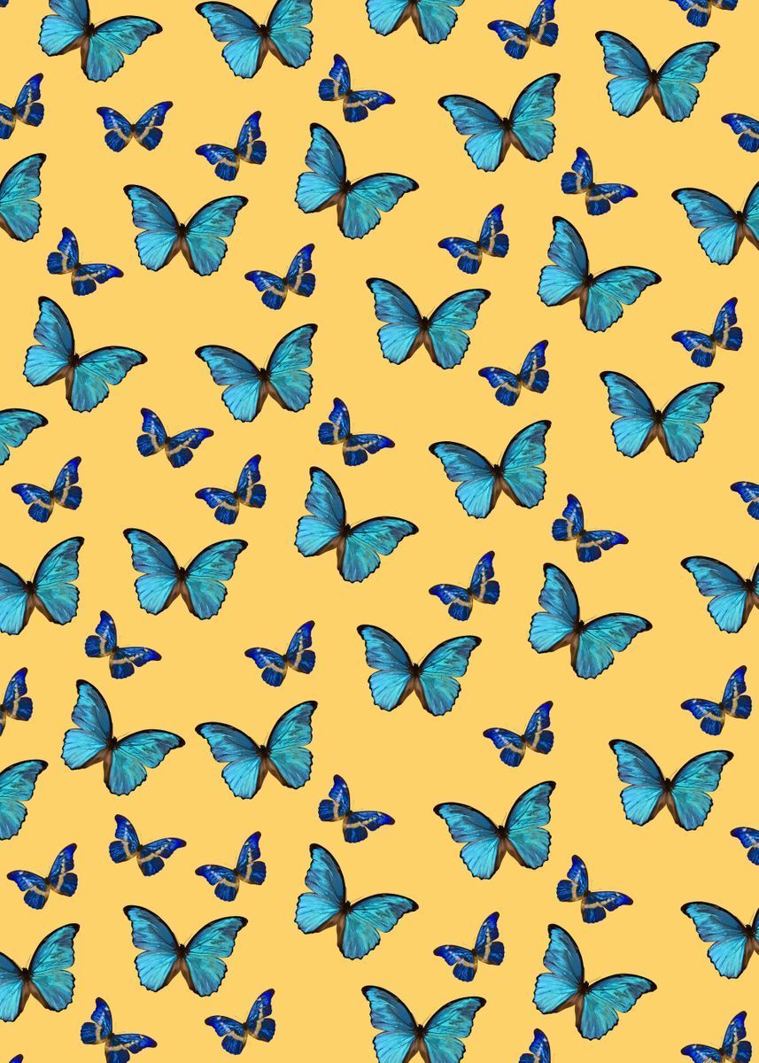 Blue Yellow Butterfly 1' Metal Poster Print's & Bella's Art. Displate. Photo wall collage, Yellow aesthetic pastel, Poster prints
