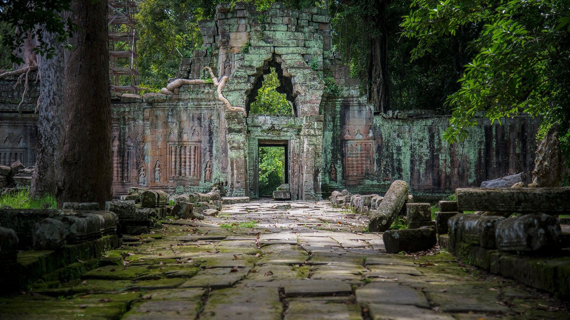 Trees Leaves Moss Rocks Plants Walkway Temple Cambodia Roots Ancient Ruins Wallpaper:1920x1080