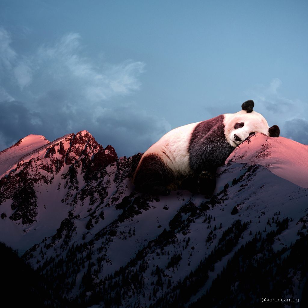 It's time to rest. Made with PicsArt by karencantuq. Panda art, Panda wallpaper, Surreal art