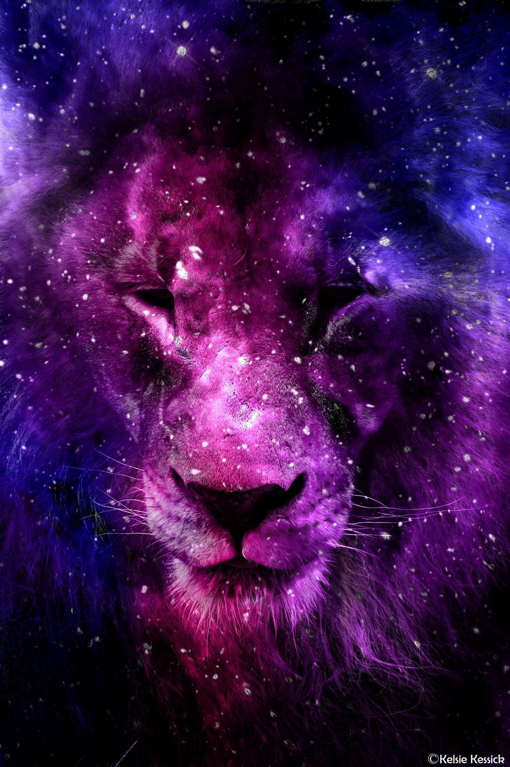 galaxy lion wallpaper