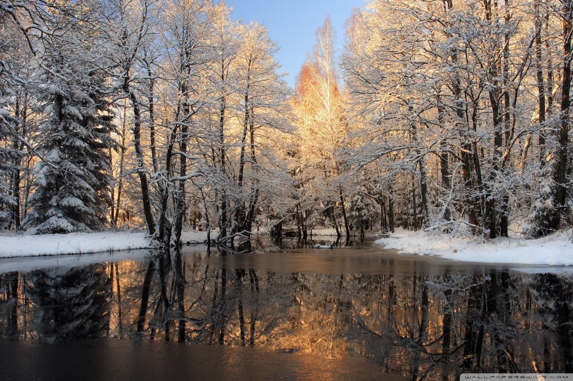 Forest Lake, Winter Ultra HD Desktop Background Wallpaper for 4K UHD TV, Multi Display, Dual Monitor, Tablet