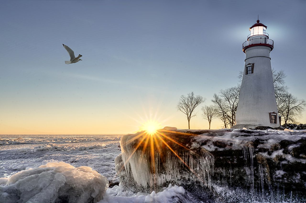 Image Rays of light seagulls Ice Nature Winter Lighthouses sunrise