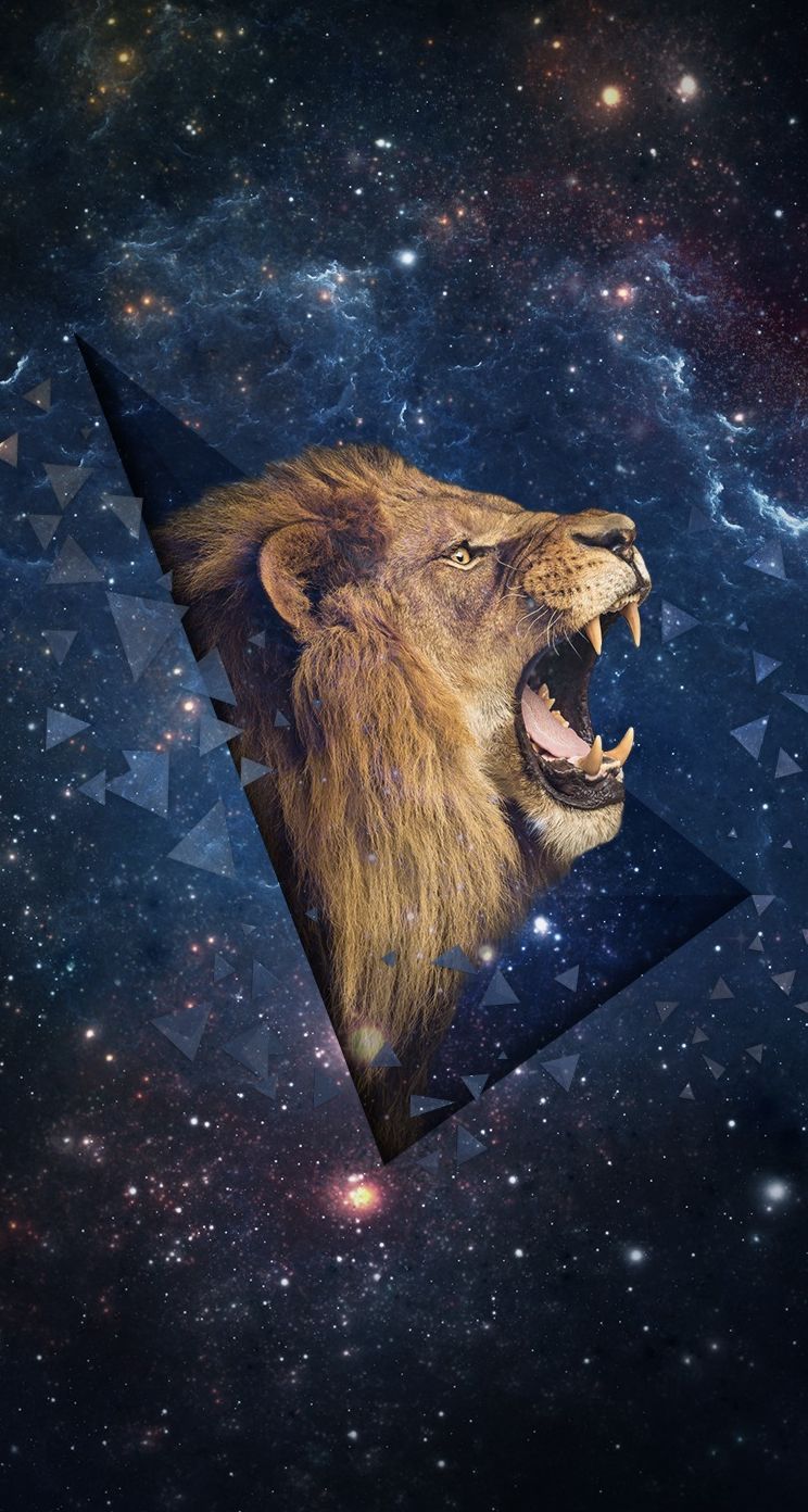 Lion In Space Wallpaper Background Wallpaper Image For Free Download   Pngtree