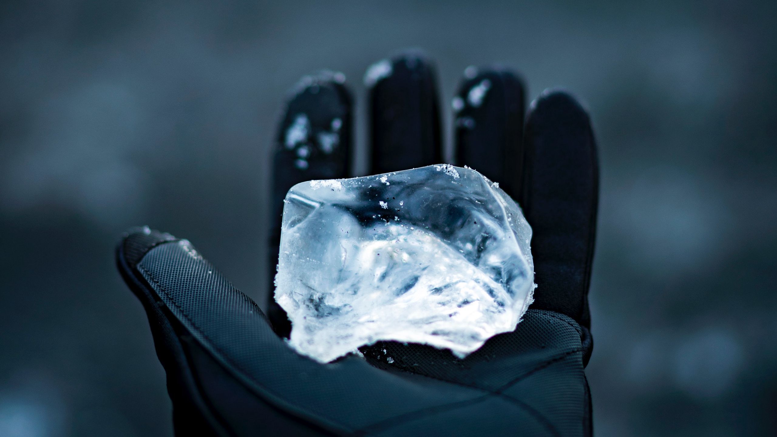 Download wallpaper 2560x1440 ice, hand, glove, winter, blur widescreen 16:9 HD background