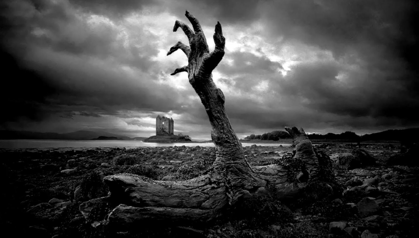 Nature Black White Zombie Hand Wallpaper 1 Raymond Black And White Photography Wallpaper & Background Download