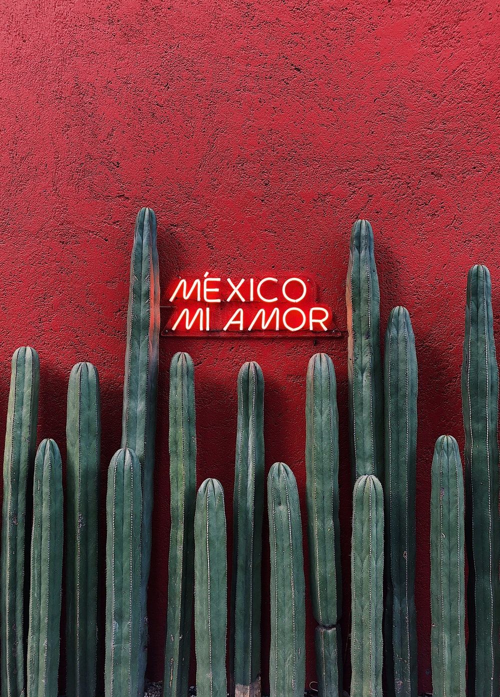 Stunning Mexico Picture [Scenic Travel Photo]. Download Free Image