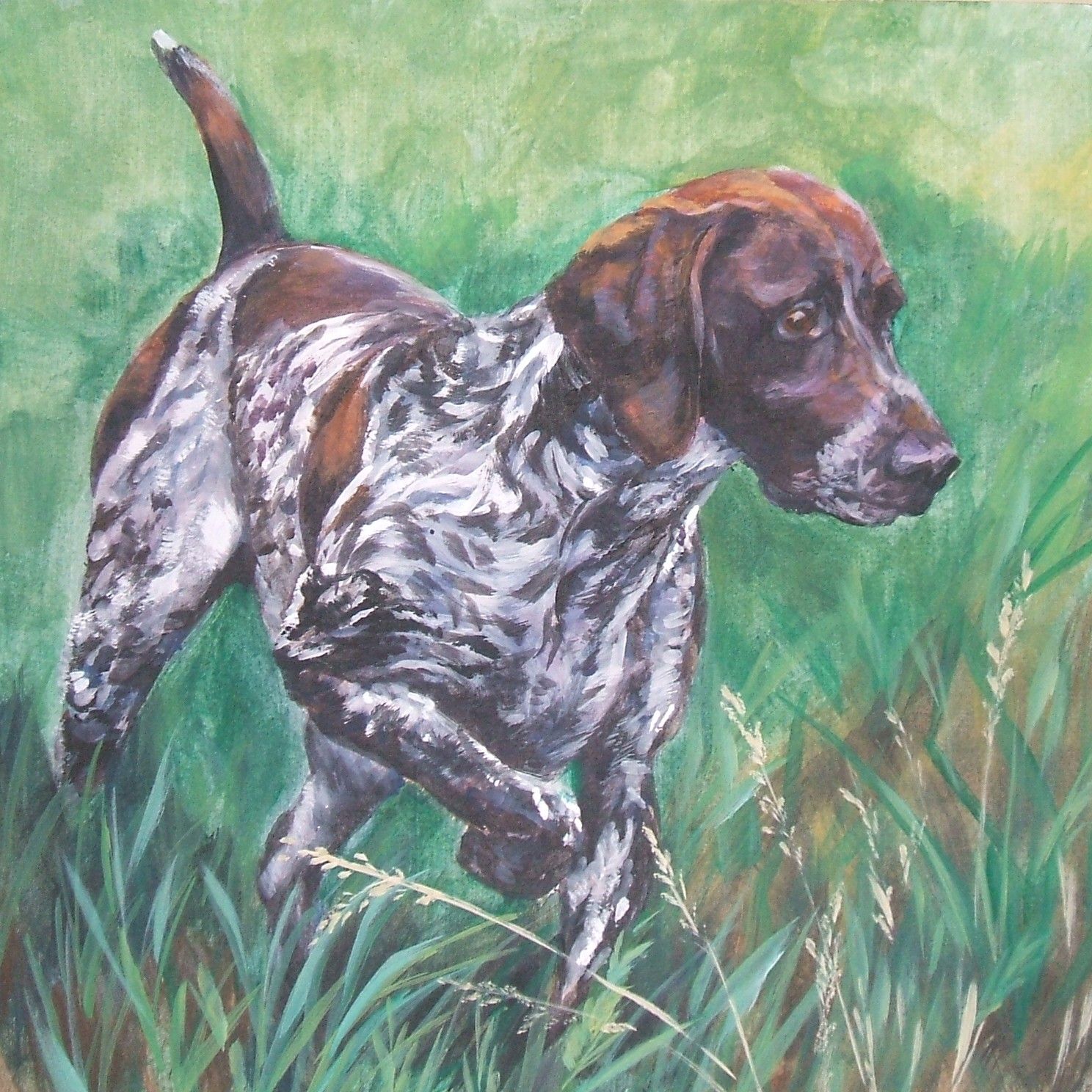 German Shorthaired Pointer photo and wallpaper. The beautiful German Shorthaired Pointer picture