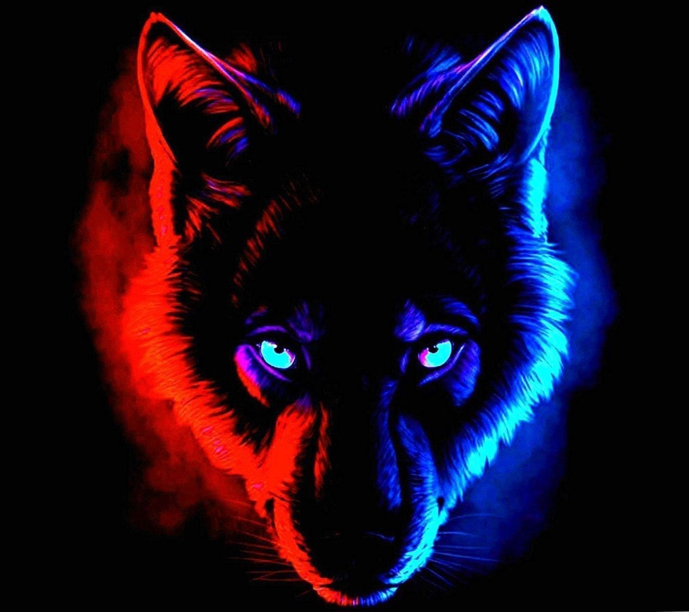 Red And Blue Wolf Wallpaper. Red wolf, Wolf with blue eyes, Wolf colors