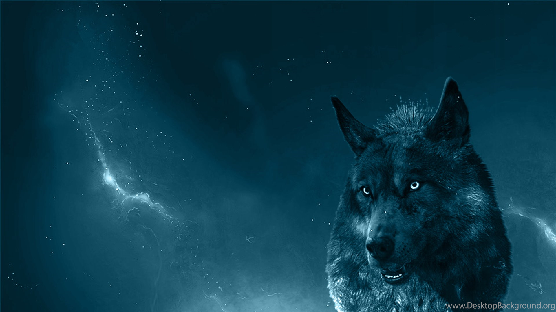 Wolf Wallpaper Download Wolf Wallpaper & Background Download