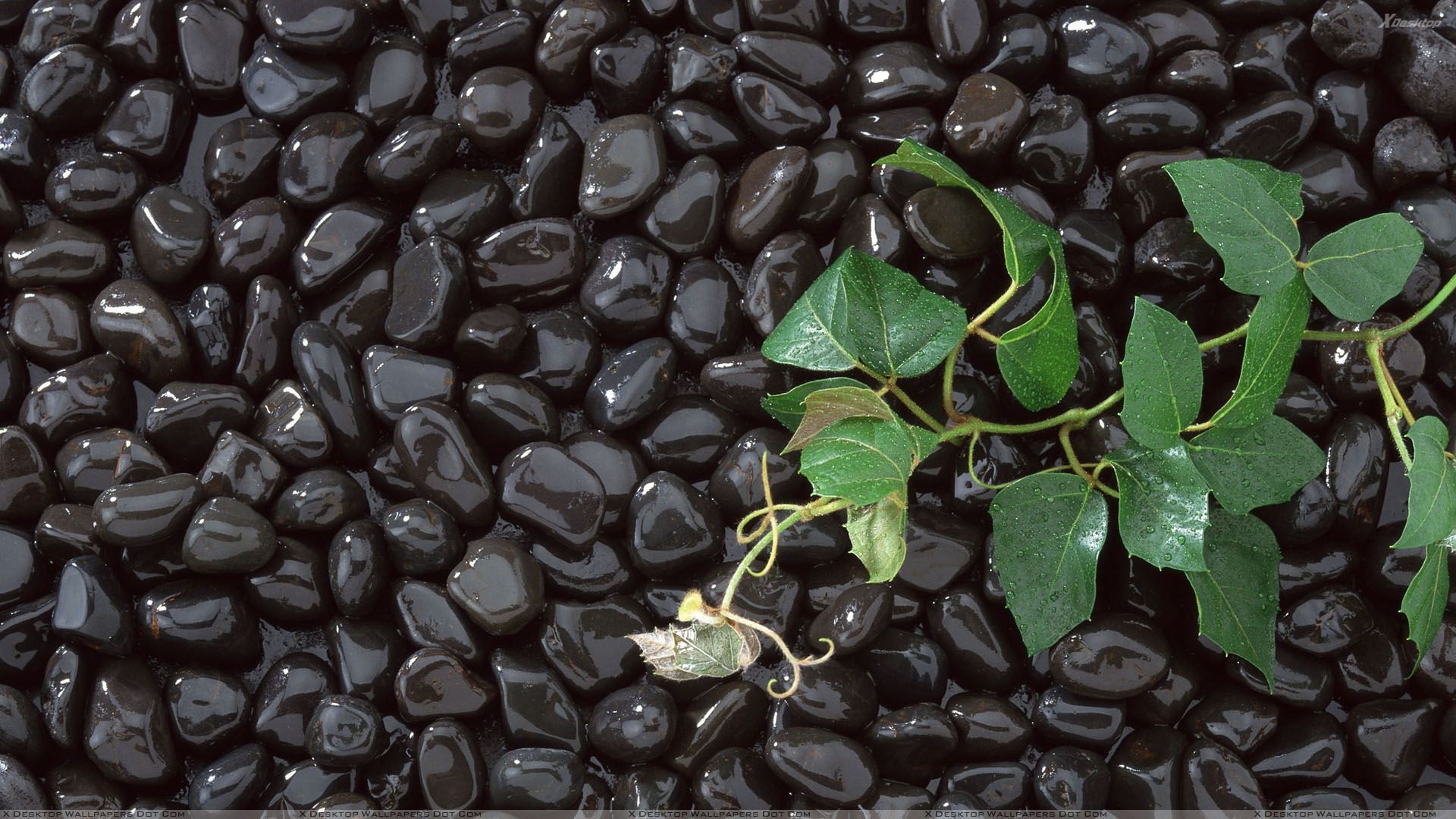 Black Stone Wallpaper