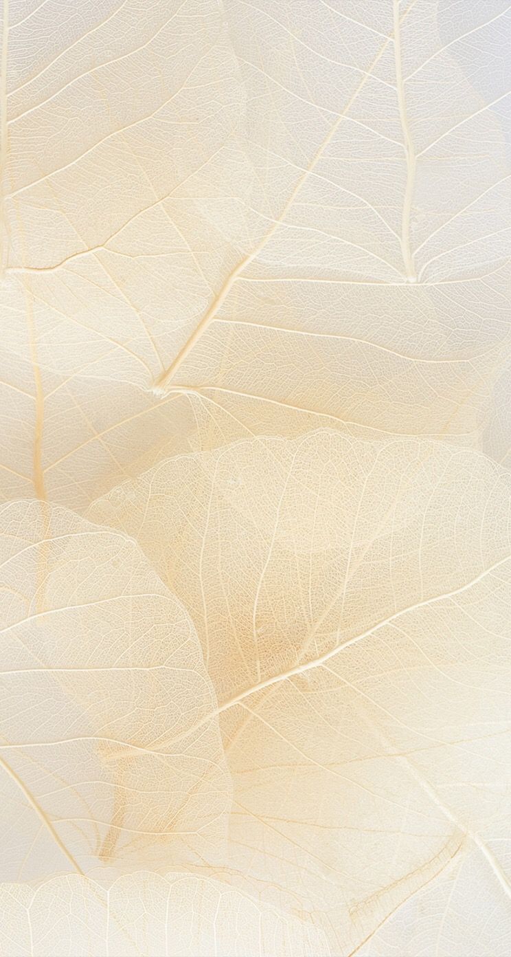 Beige Aesthetic Wallpaper Backgrounds For iPhone  Glory of the Snow