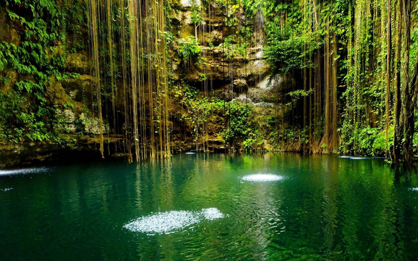 Full HD Nature Wallpaper Desktop