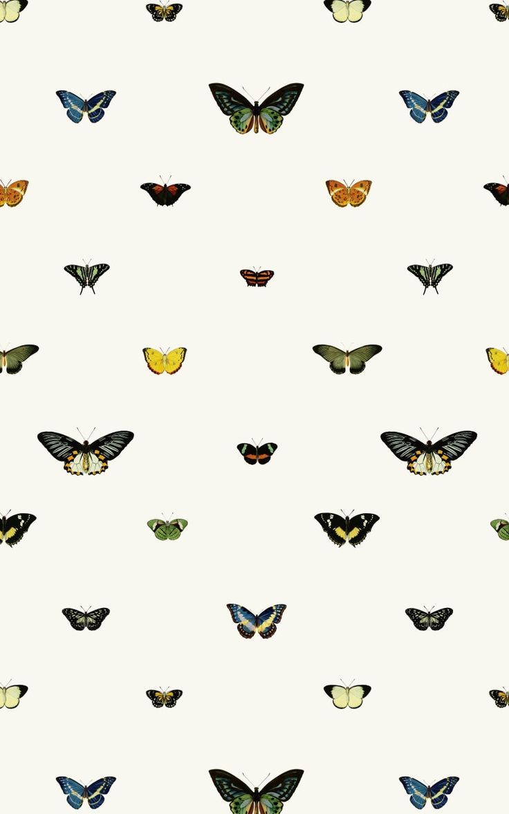 MuralsWallpaper Just Launched A Wes Anderson Inspired Collection. Butterfly Wallpaper, Wes Anderson Wallpaper, Zebra Wallpaper