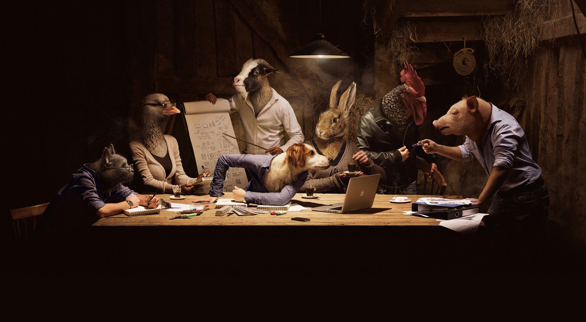 creativity, Artwork, Humor, Animals, Table, Cat, Goats, Geese, Laptop, Rabbits, Pigs, Roosters, Dog, Animal Farm Wallpaper HD / Desktop and Mobile Background