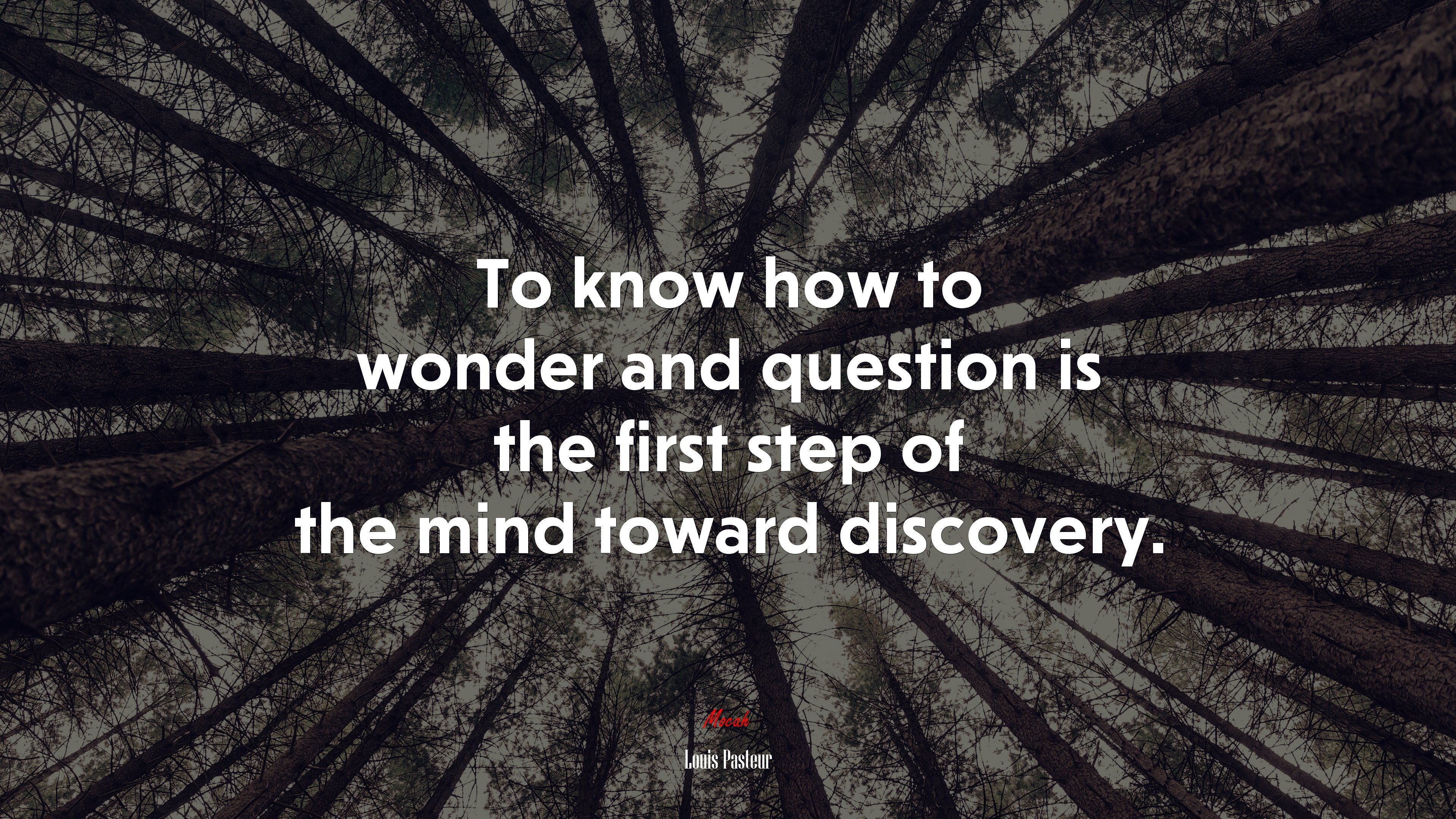 Chance favors the prepared mind. Louis Pasteur quote, 4k wallpaper