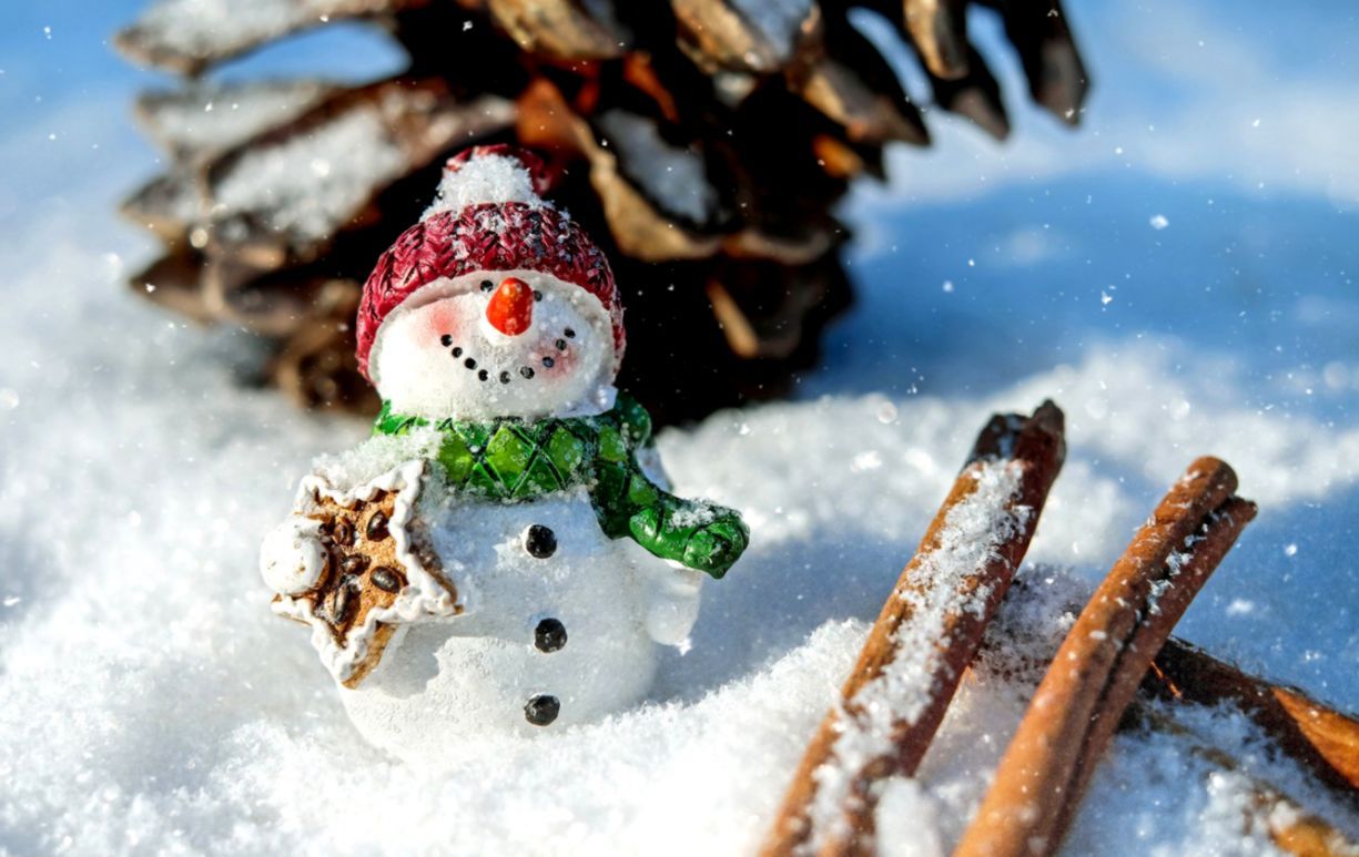 Winter Snowman Wallpaper HD