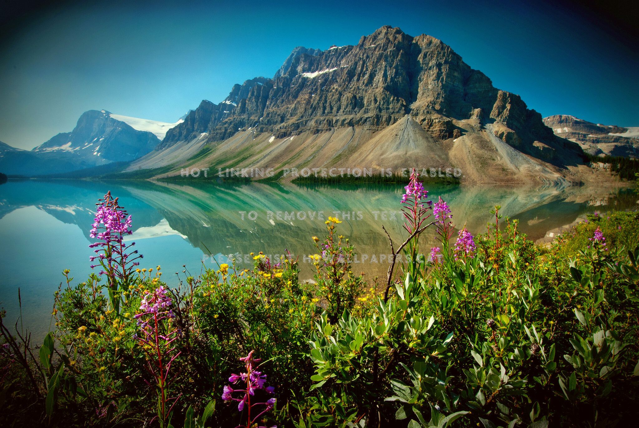 Bow Lake Banff National Park Alberta Canadahdwallpaper.cat