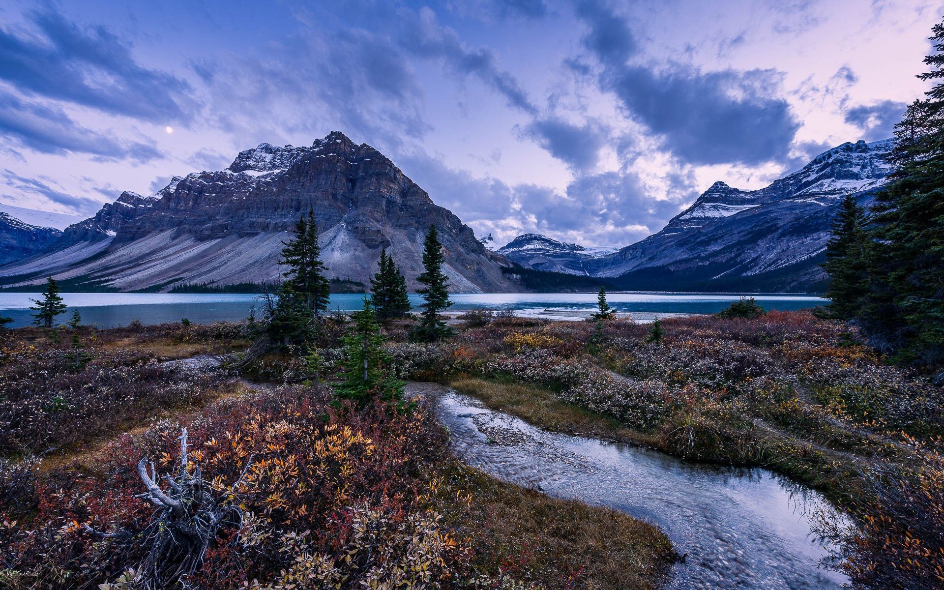 Wallpaper Mountains, trees, Bow Lake, Alberta, Canada, Banff National Park 1920x1200 HD Picture, Image
