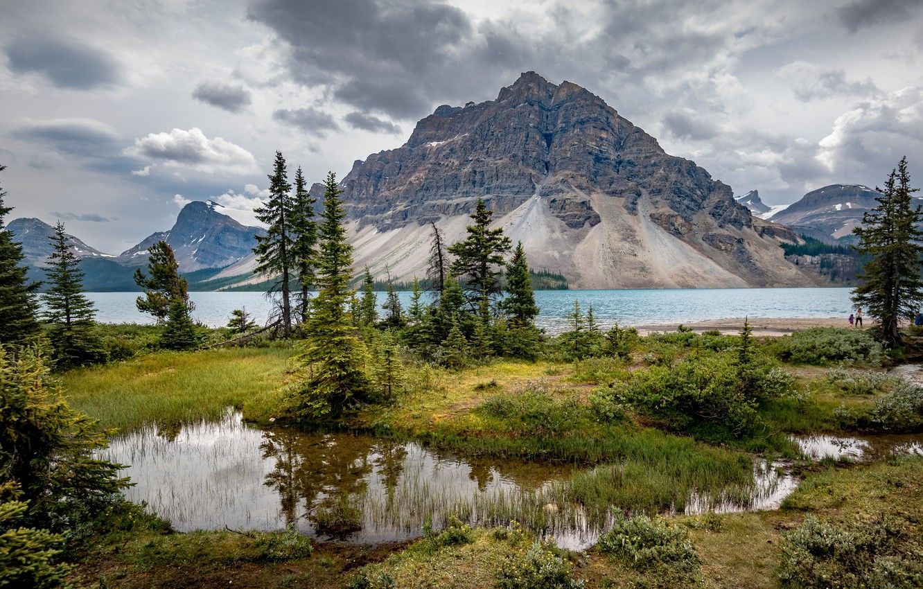 Wallpaper trees, mountains, lake, Canada, Albert, Banff National Park, Alberta, Bow Lake image for desktop, section пейзажи