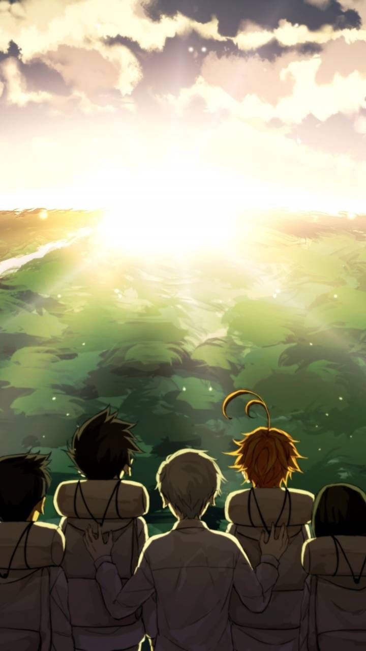 TPN Wallpapers - Wallpaper Cave