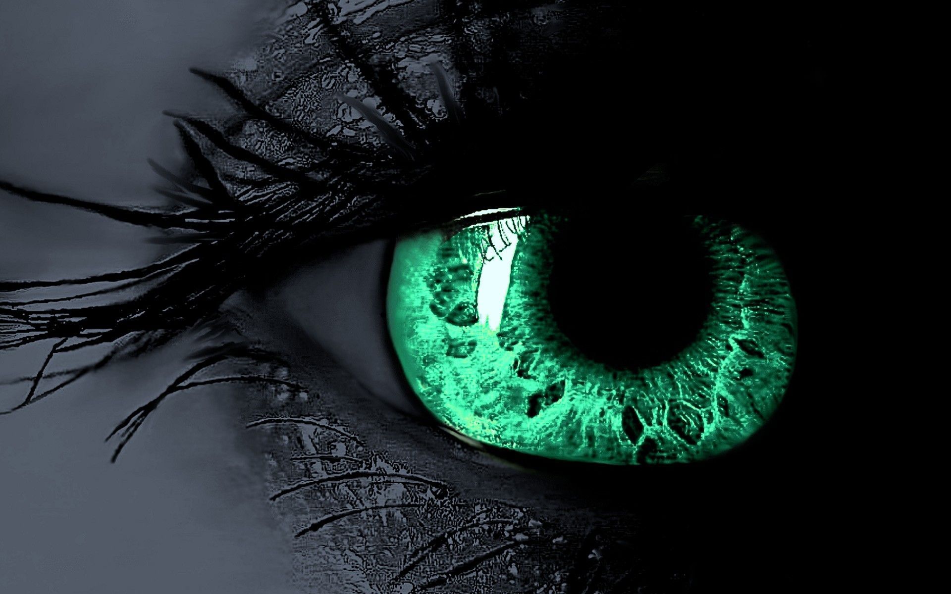 Green Eye Wallpaper