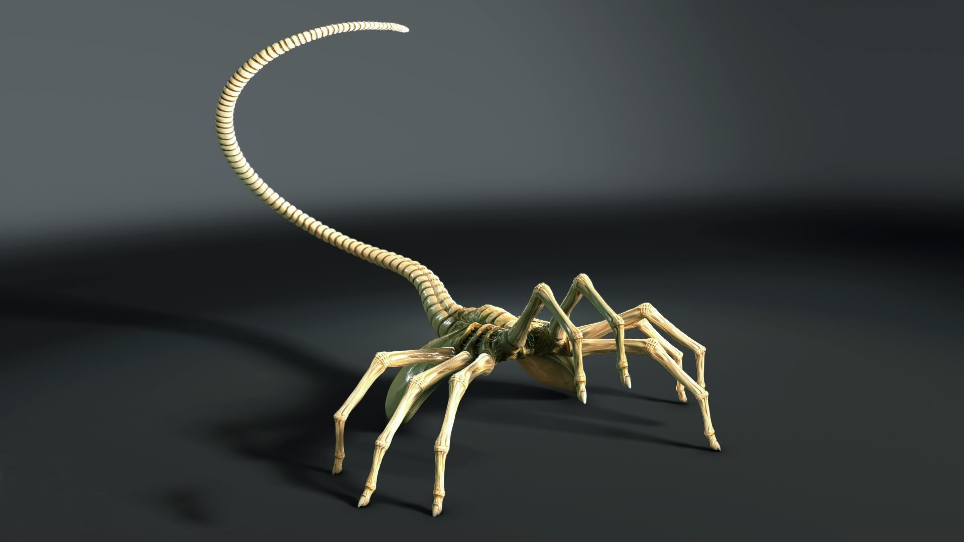 Facehugger Wallpaper