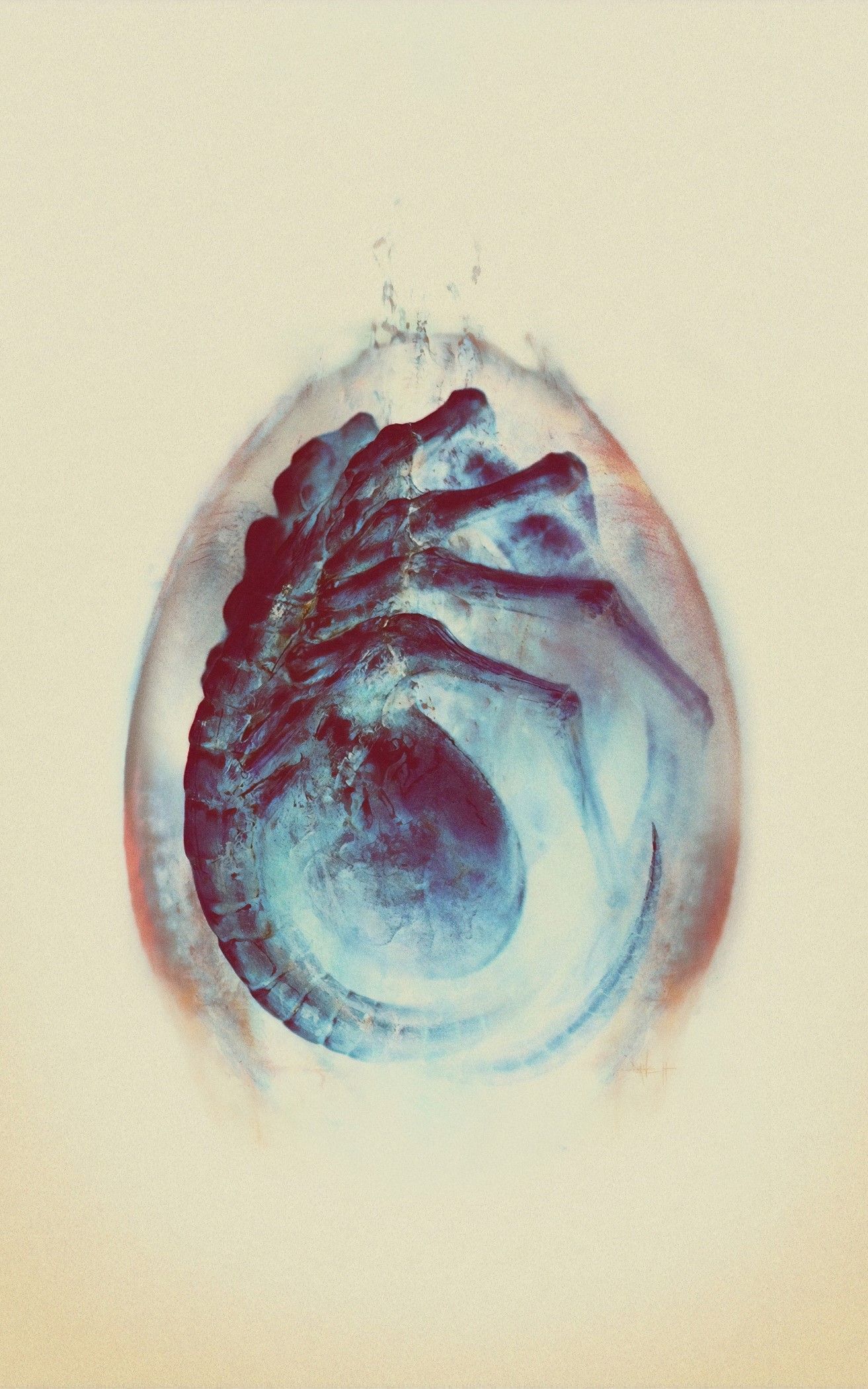 Facehugger Wallpaper