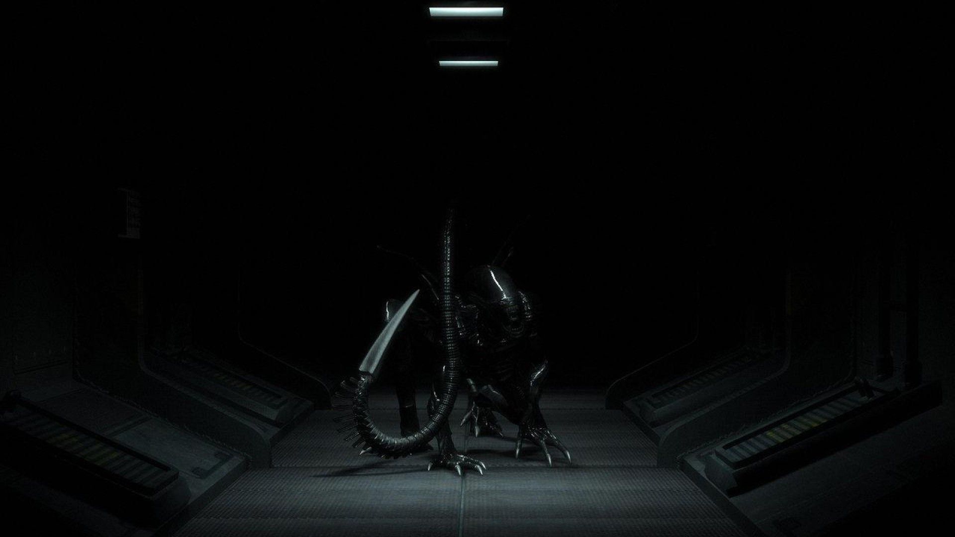 Xenomorph Wallpaper