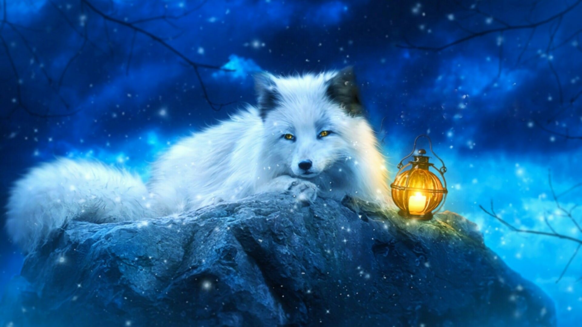 Arctic fox Wallpaper 4K White wolf Iceland Snow field 4279