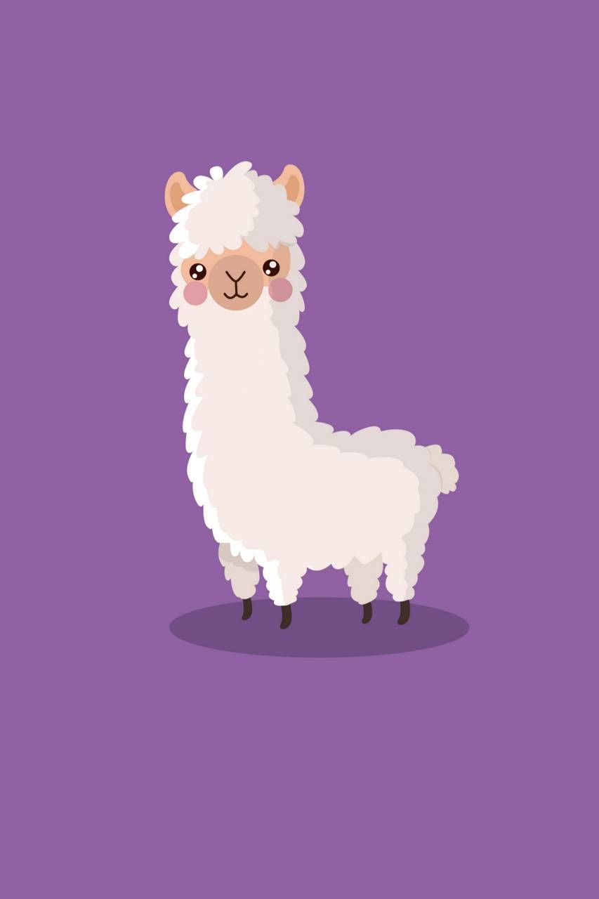 Llama Image, 3D, Background, Llama, Purple, Wallpaper, White, Animals